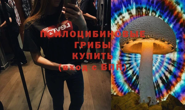 2c-b Няндома